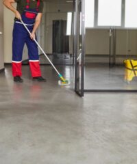 Professional Cleaning